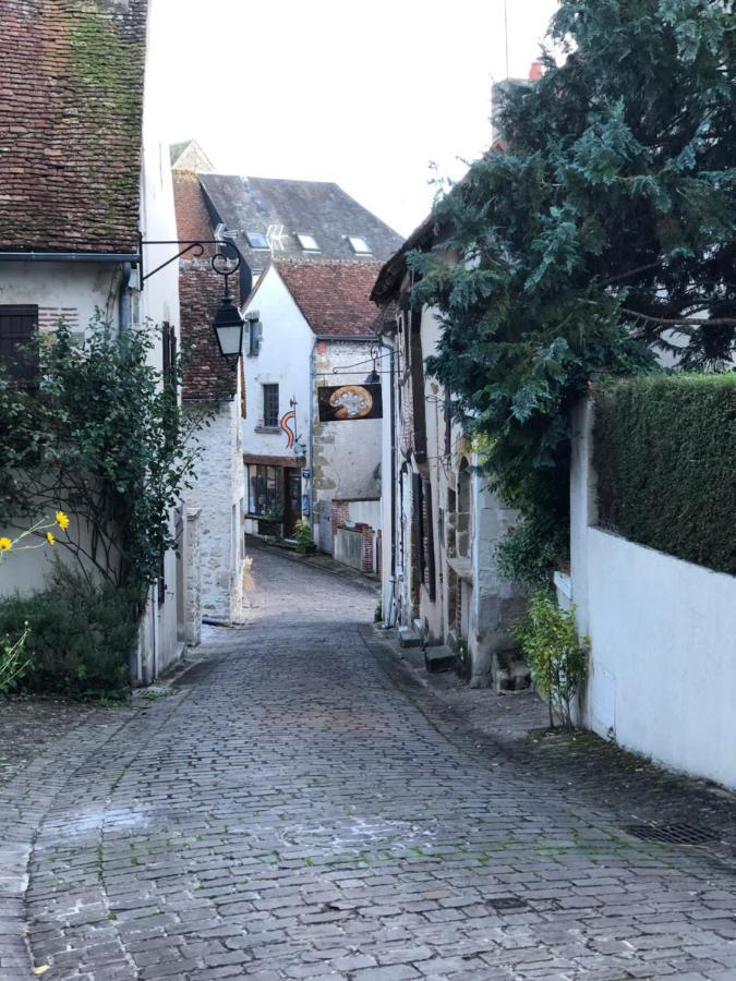 Villa L’échappée Monestoise Mennetou-sur-Cher Exterior foto